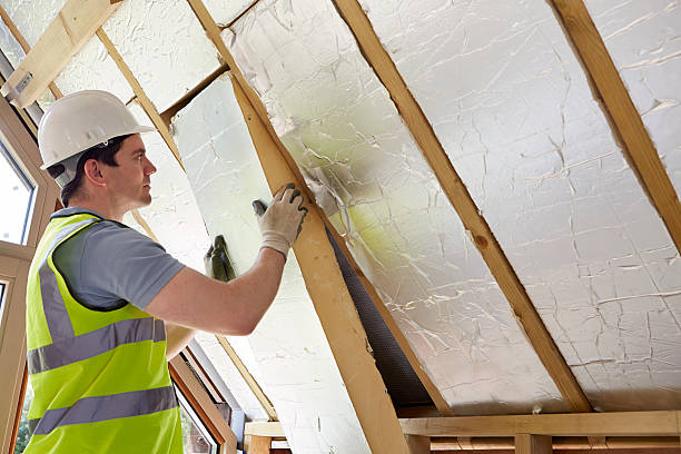 Best Insulation Maintenance and Repair in Lasalle, IL