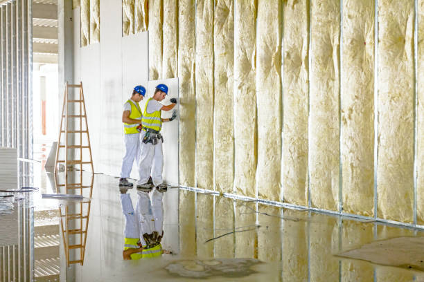Types of Insulation We Offer in Lasalle, IL